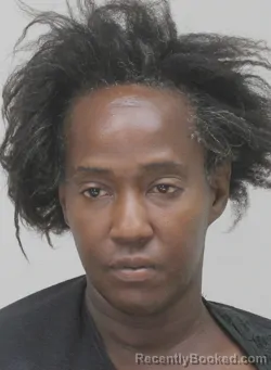 Mugshot of April Roberson booked in Dallas County, Texas on August 29, 2026