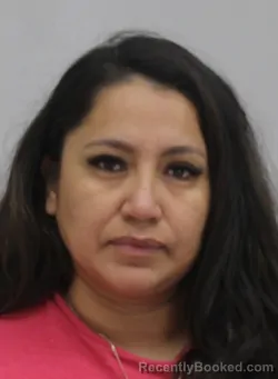 Mugshot of Reyna Alondraneftali booked in Dallas County, Texas on August 30, 2026