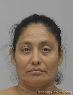 Mugshot of Elba Funezochoa booked in Dallas County, Texas on August 31, 2026
