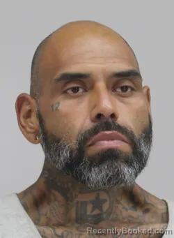 Mugshot of Damacio Rodriguez booked in Dallas County, Texas on September 3, 2026