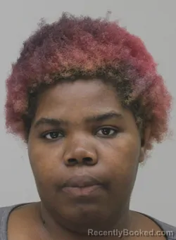 Mugshot of Trinesha Hawkins booked in Dallas County, Texas on September 3, 2026