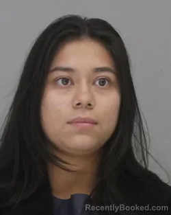 Mugshot of Luz Rodriguez booked in Dallas County, Texas on September 4, 2026