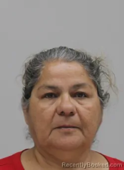 Mugshot of Mari Sakhi booked in Dallas County, Texas on September 5, 2026