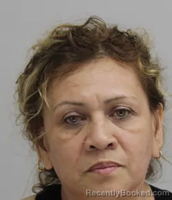 Mugshot of Esmeralda Navarrete booked in Dallas County, Texas on September 6, 2026