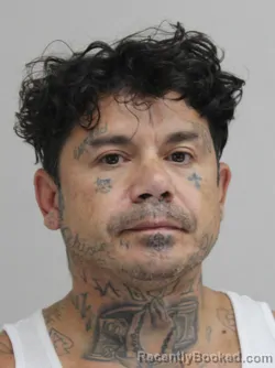 Mugshot of Ace Rubio booked in Dallas County, Texas on September 11, 2026