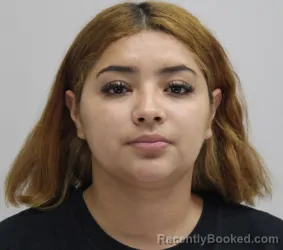 Mugshot of Karen Romero booked in Dallas County, Texas on September 11, 2026