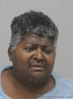 Mugshot of Janice James booked in Dallas County, Texas on September 12, 2026
