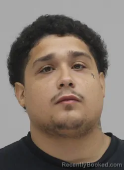 Mugshot of Damian Reyna booked in Dallas County, Texas on September 14, 2026