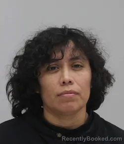 Mugshot of Liliana Felix Lara booked in Dallas County, Texas on September 16, 2026