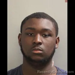 Mugshot of WAYNE MICHAEL BROWN