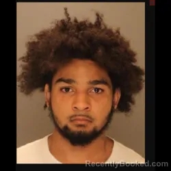 Mugshot of CARLOS RIVERA