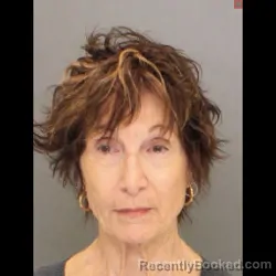 Mugshot of SHEREE LYNN VANNATTER