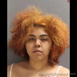 Mugshot of MARY ROSE REEVES