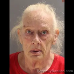 Mugshot of CHRISTINA B EDWARDS booked in York County, Pennsylvania on June 15, 2026