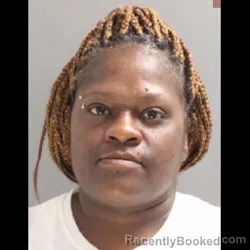 Mugshot of Jawana Lp Whitaker booked in York County, Pennsylvania on July 18, 2026
