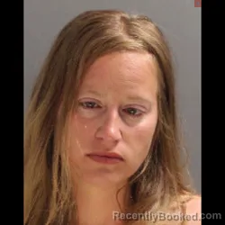 Mugshot of Nicole Ashtin Brillhart booked in York County, Pennsylvania on August 2, 2026