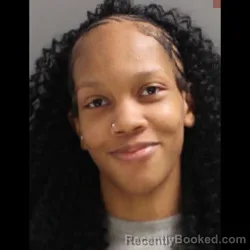 Mugshot of Kelise Renee Ford booked in York County, Pennsylvania on September 12, 2026