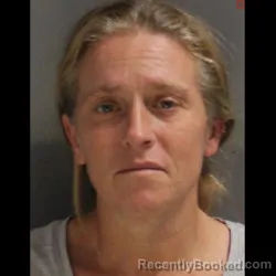 Mugshot of Natasha Renee Wilkins booked in York County, Pennsylvania on September 28, 2026