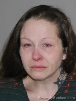 Mugshot of Heidi L Berry booked in Denton County, Texas on April 9, 2026