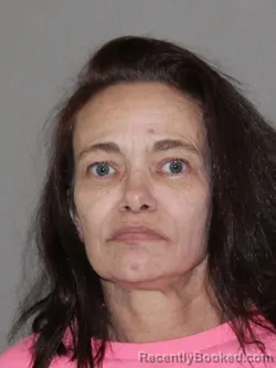 Mugshot of Lisa M Ogilvie booked in Denton County, Texas on April 2, 2026