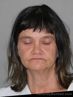 Mugshot of Cynthia D Hood booked in Denton County, Texas on March 20, 2026