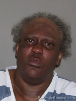 Mugshot of Britney L Rogers