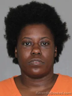 Mugshot of Jessica D Cullen booked in Denton County, Texas on June 14, 2026