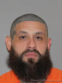 Mugshot of Elias J Trevino