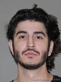 Mugshot of Alejandro I Mireles