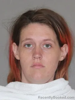 Mugshot of Teri L Reed booked in Denton County, Texas on March 20, 2026