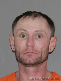 Mugshot of Lyndan A McMullan