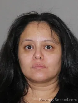 Mugshot of Vanesa J Gutierrez booked in Denton County, Texas on September 26, 2026