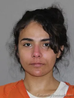 Mugshot of Danielle Flores booked in Denton County, Texas on August 20, 2026