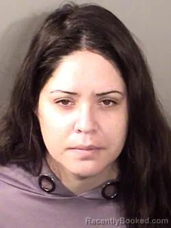 Mugshot of Lisa P Young booked in Denton County, Texas on July 1, 2026