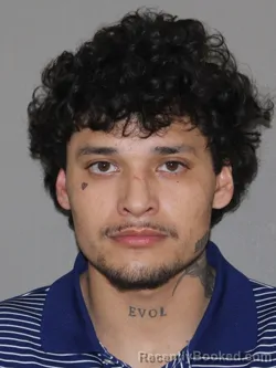 Booking photo from Denton County, Texas