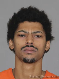 Mugshot of Cameron D Theus