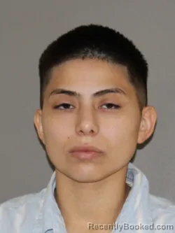 Mugshot of Ruby Romero booked in Denton County, Texas on June 10, 2026