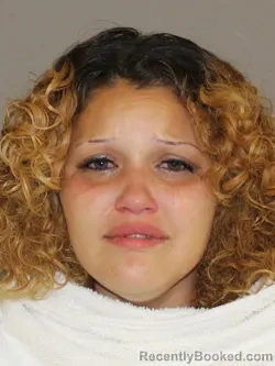 Mugshot of Whitney J Hollifield