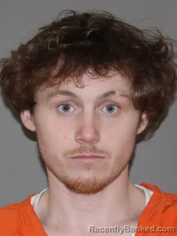 Mugshot of Dalton C Hodges