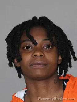 Mugshot of Destiny R McAlister booked in Denton County, Texas on March 31, 2026