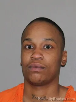 Mugshot of Daviona L McHenry booked in Denton County, Texas on March 28, 2026