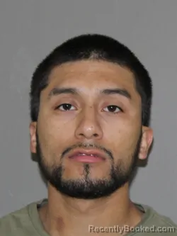 Mugshot of Addison Salazar booked in Denton County, Texas on April 8, 2026