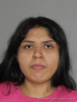 Mugshot of Esmeralda Grimaldo booked in Denton County, Texas on April 3, 2026