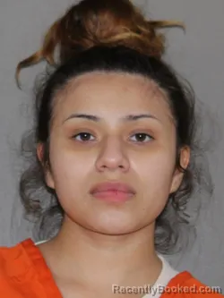 Mugshot of Mariana S Fraire-Reyes booked in Denton County, Texas on April 1, 2026