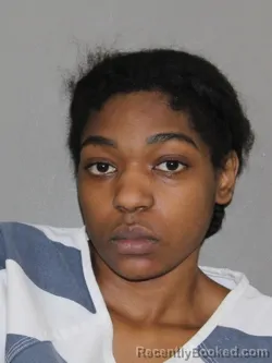 Mugshot of Heaven S Horton booked in Denton County, Texas on April 8, 2026