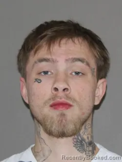 Mugshot of Jonathan M Nelson