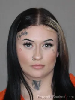 Mugshot of Jissella A Martin booked in Denton County, Texas on April 7, 2026