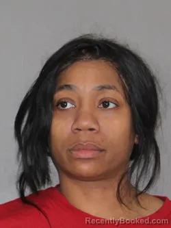 Mugshot of Nadira N Chisholm