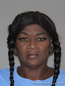 Mugshot of Sandra K Jenkins