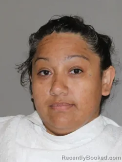 Mugshot of Jennifer M Felix booked in Denton County, Texas on April 6, 2026